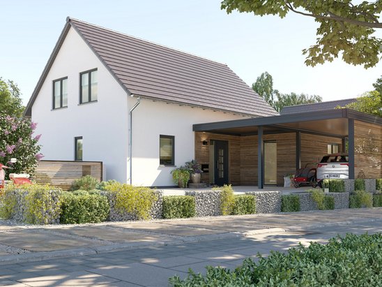 Einfamilienhaus-Bodensee-129-Kubus-Carport-Holz-Strassenansicht