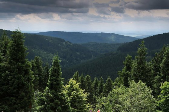 thüringer-wald Thüringer Wald